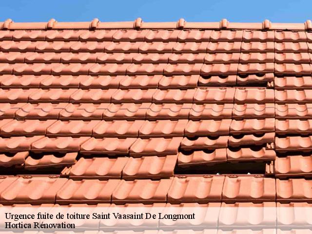 Urgence fuite de toiture  saint-vaasaint-de-longmont-60410 Hortica Rénovation