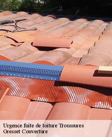 Urgence fuite de toiture  troussures-60390 Gresset Couverture