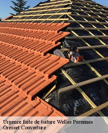 Urgence fuite de toiture  welles-perennes-60420 Gresset Couverture