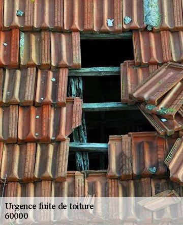 Urgence fuite de toiture 60000